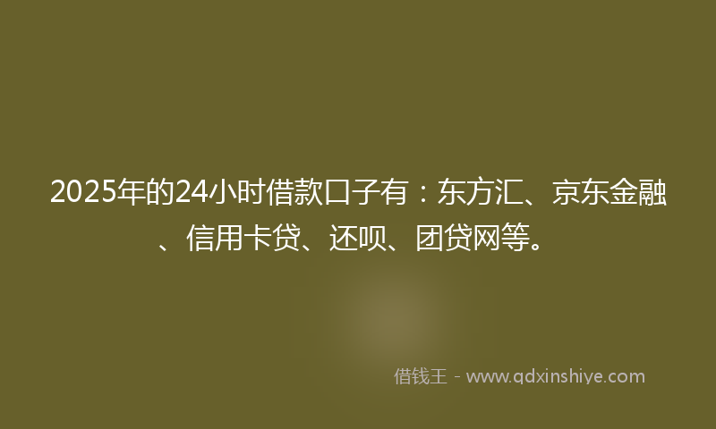2025年的24小时借款口子有：东方汇、京东金融、信用卡贷、还呗、团贷网等。