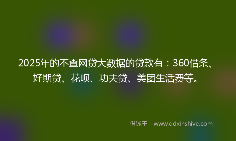 2025年的不查网贷大数据的贷款有：360借条、好期贷、花呗、功夫贷、美团生活费等。