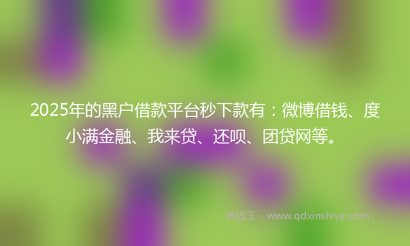 2025年的黑户借款平台秒下款有：微博借钱、度小满金融、我来贷、还呗、团贷网等。