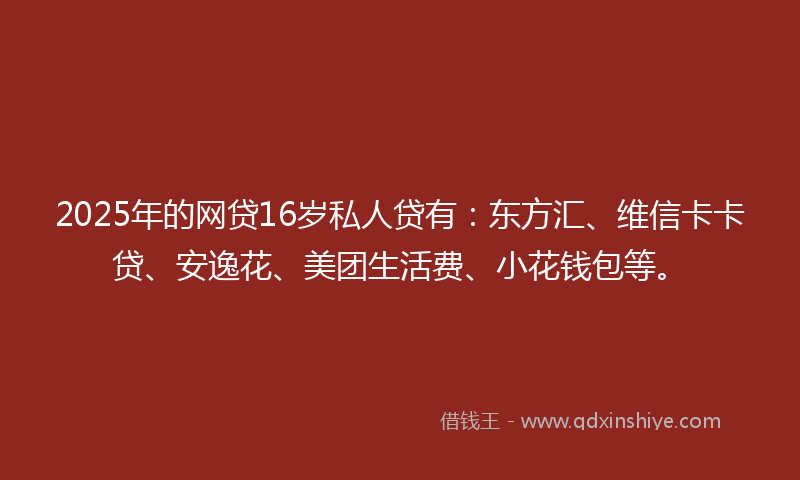 2025年的网贷16岁私人贷有：东方汇、维信卡卡贷、安逸花、美团生活费、小花钱包等。