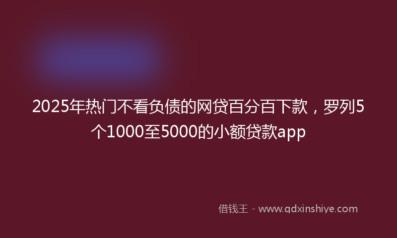 2025年热门不看负债的网贷百分百下款，罗列5个1000至5000的小额贷款app