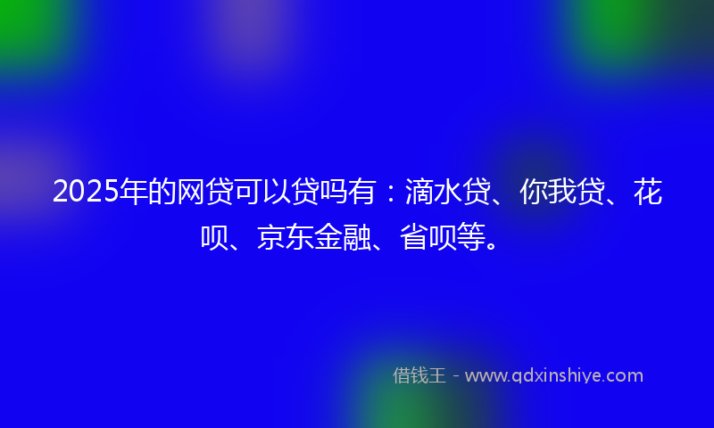 2025年的网贷可以贷吗有：滴水贷、你我贷、花呗、京东金融、省呗等。