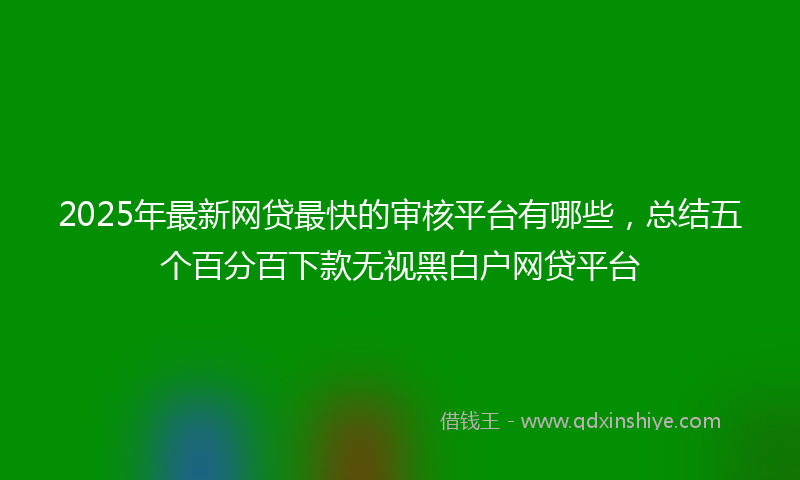 2025年最新网贷最快的审核平台有哪些，总结五个百分百下款无视黑白户网贷平台