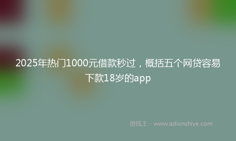 2025年热门1000元借款秒过，概括五个网贷容易下款18岁的app