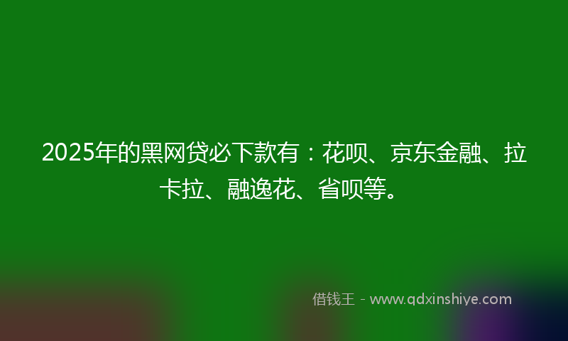 2025年的黑网贷必下款有：花呗、京东金融、拉卡拉、融逸花、省呗等。