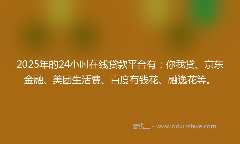 2025年的24小时在线贷款平台有：你我贷、京东金融、美团生活费、百度有钱花、融逸花等。
