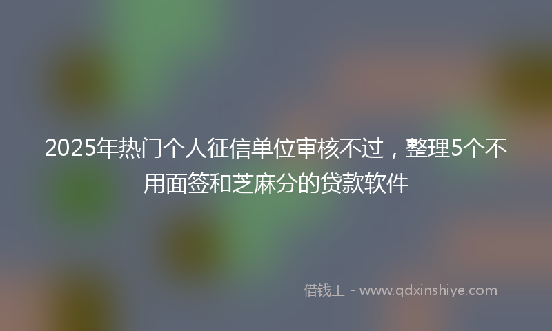 2025年热门个人征信单位审核不过，整理5个不用面签和芝麻分的贷款软件
