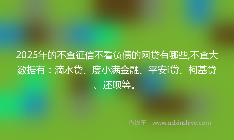 2025年的不查征信不看负债的网贷有哪些,不查大数据有：滴水贷、度小满金融、平安i贷、柯基贷、还呗等。