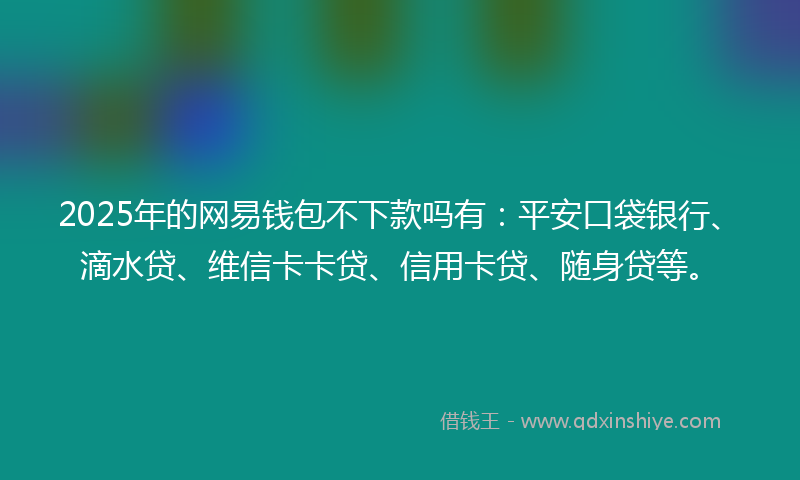 2025年的网易钱包不下款吗有：平安口袋银行、滴水贷、维信卡卡贷、信用卡贷、随身贷等。