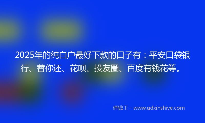 2025年的纯白户最好下款的口子有：平安口袋银行、替你还、花呗、投友圈、百度有钱花等。