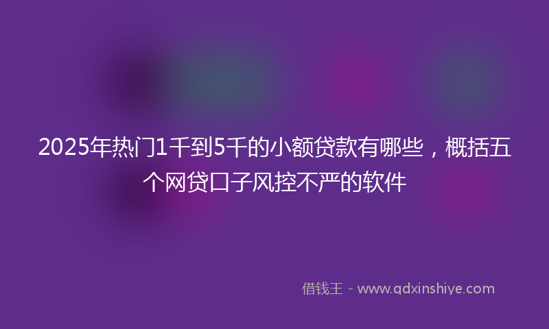 2025年热门1千到5千的小额贷款有哪些，概括五个网贷口子风控不严的软件