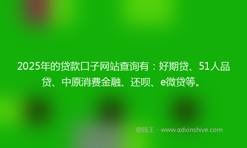 2025年的贷款口子网站查询有：好期贷、51人品贷、中原消费金融、还呗、e微贷等。