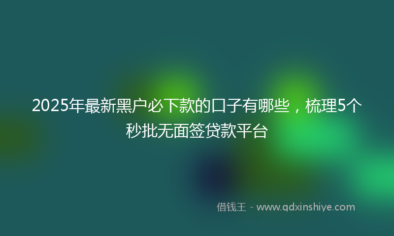 2025年最新黑户必下款的口子有哪些，梳理5个秒批无面签贷款平台