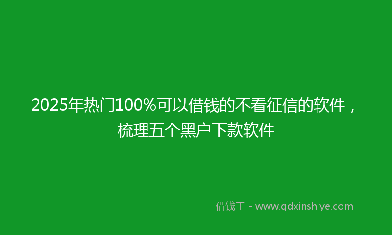 2025年热门100%可以借钱的不看征信的软件，梳理五个黑户下款软件