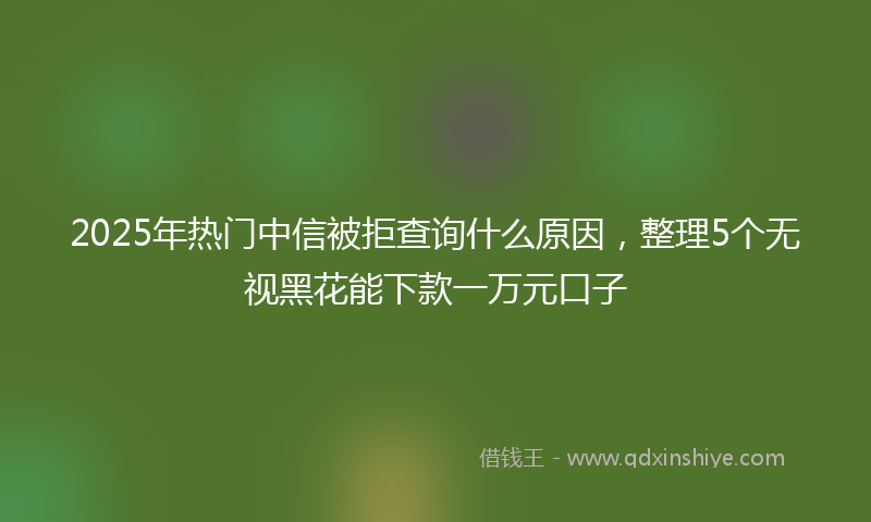 2025年热门中信被拒查询什么原因，整理5个无视黑花能下款一万元口子