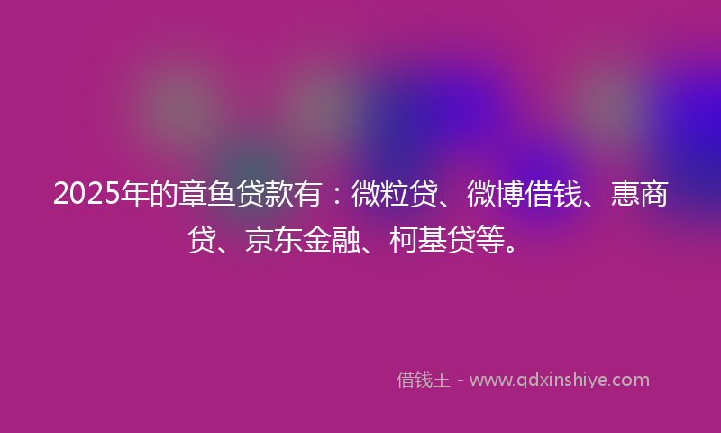 2025年的章鱼贷款有：微粒贷、微博借钱、惠商贷、京东金融、柯基贷等。