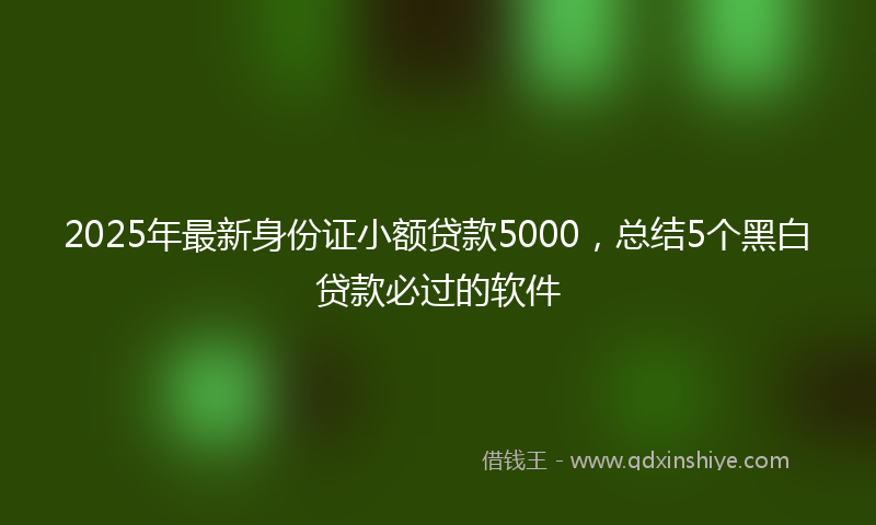 2025年最新身份证小额贷款5000，总结5个黑白贷款必过的软件