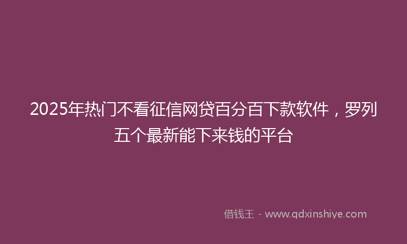2025年热门不看征信网贷百分百下款软件，罗列五个最新能下来钱的平台
