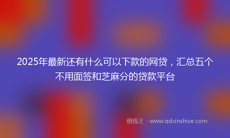 2025年最新还有什么可以下款的网贷，汇总五个不用面签和芝麻分的贷款平台