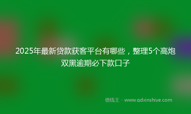 2025年最新贷款获客平台有哪些，整理5个高炮双黑逾期必下款口子