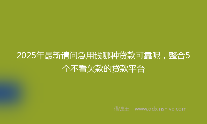 2025年最新请问急用钱哪种贷款可靠呢，整合5个不看欠款的贷款平台
