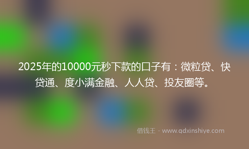 2025年的10000元秒下款的口子有：微粒贷、快贷通、度小满金融、人人贷、投友圈等。