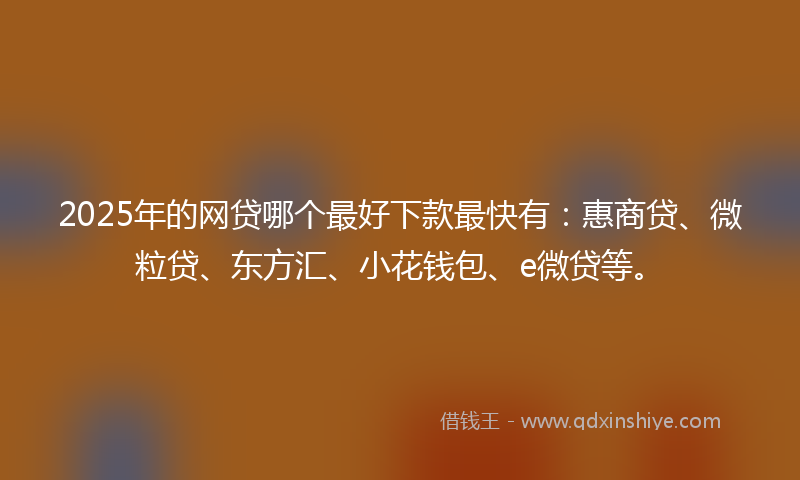 2025年的网贷哪个最好下款最快有：惠商贷、微粒贷、东方汇、小花钱包、e微贷等。