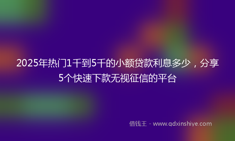 2025年热门1千到5千的小额贷款利息多少，分享5个快速下款无视征信的平台