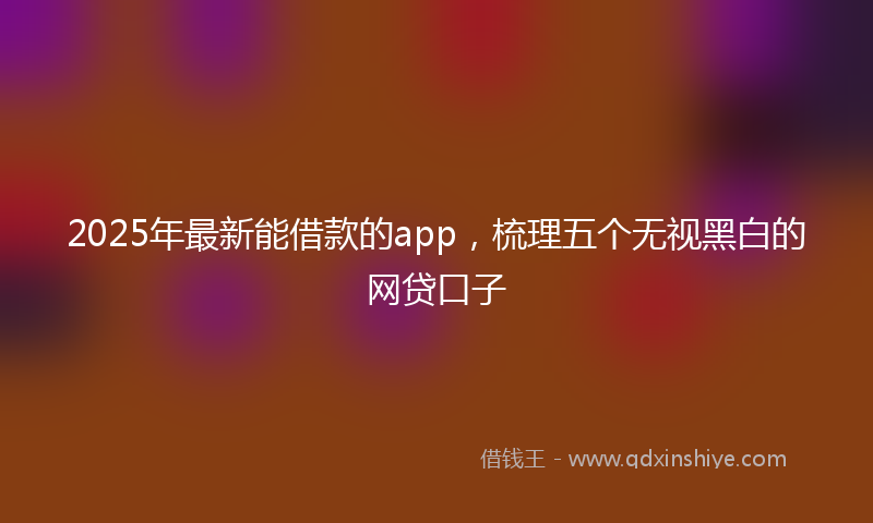2025年最新能借款的app，梳理五个无视黑白的网贷口子