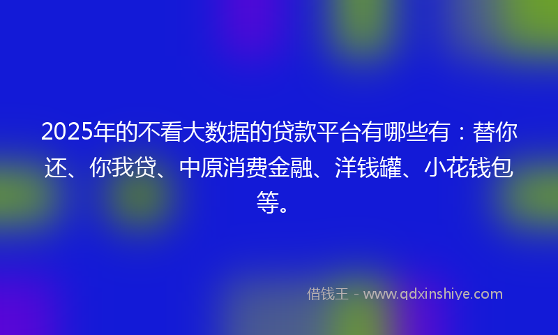 2025年的不看大数据的贷款平台有哪些有：替你还、你我贷、中原消费金融、洋钱罐、小花钱包等。