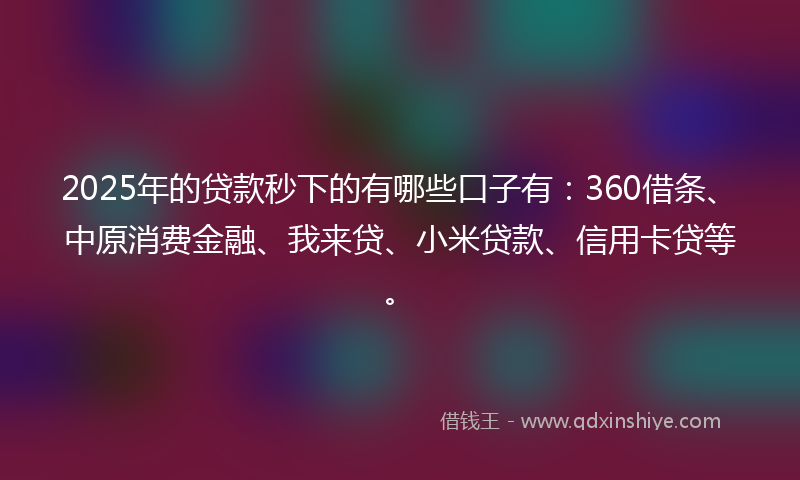 2025年的贷款秒下的有哪些口子有：360借条、中原消费金融、我来贷、小米贷款、信用卡贷等。