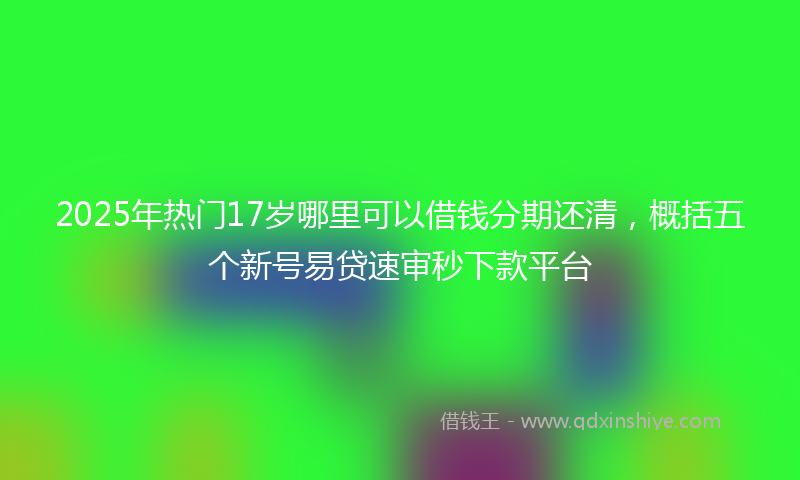 2025年热门17岁哪里可以借钱分期还清，概括五个新号易贷速审秒下款平台