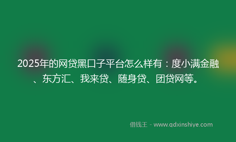 2025年的网贷黑口子平台怎么样有：度小满金融、东方汇、我来贷、随身贷、团贷网等。