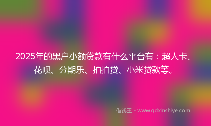 2025年的黑户小额贷款有什么平台有：超人卡、花呗、分期乐、拍拍贷、小米贷款等。