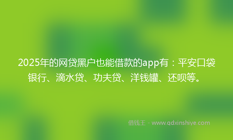 2025年的网贷黑户也能借款的app有：平安口袋银行、滴水贷、功夫贷、洋钱罐、还呗等。