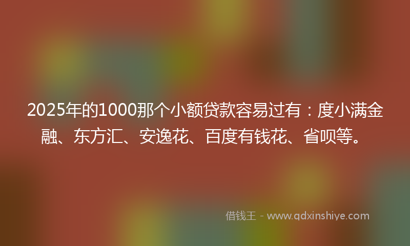 2025年的1000那个小额贷款容易过有：度小满金融、东方汇、安逸花、百度有钱花、省呗等。