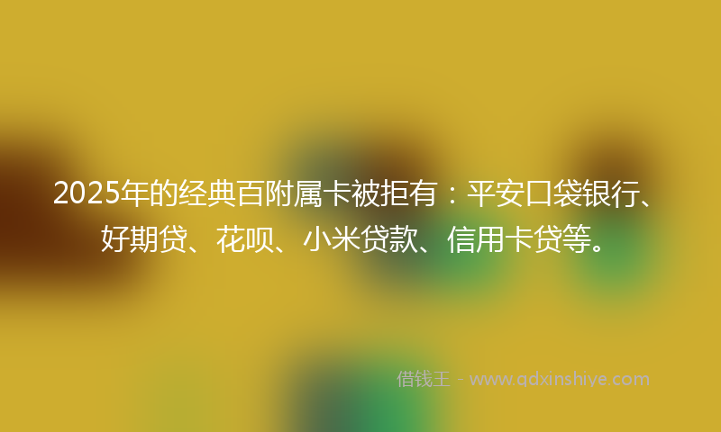 2025年的经典百附属卡被拒有：平安口袋银行、好期贷、花呗、小米贷款、信用卡贷等。