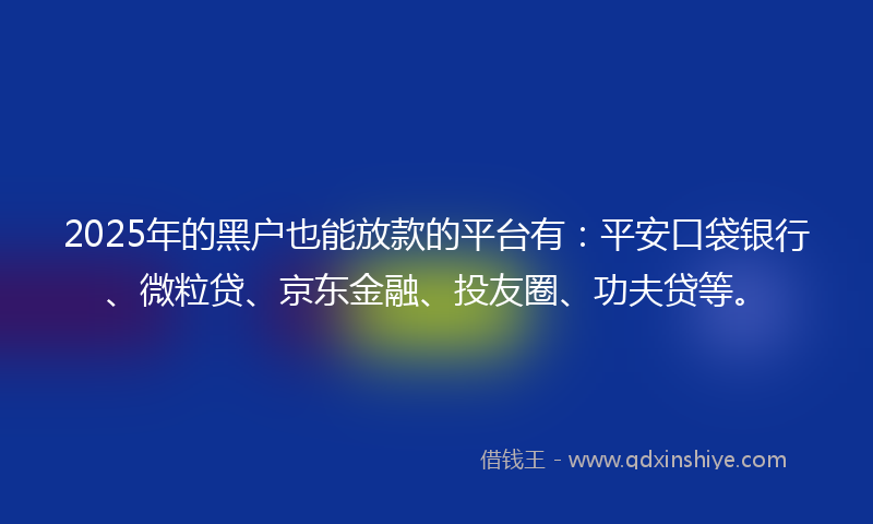 2025年的黑户也能放款的平台有：平安口袋银行、微粒贷、京东金融、投友圈、功夫贷等。