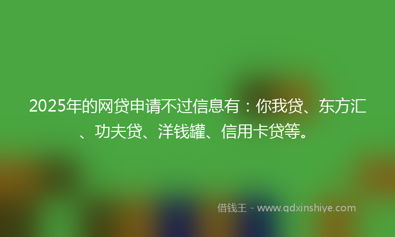 2025年的网贷申请不过信息有：你我贷、东方汇、功夫贷、洋钱罐、信用卡贷等。