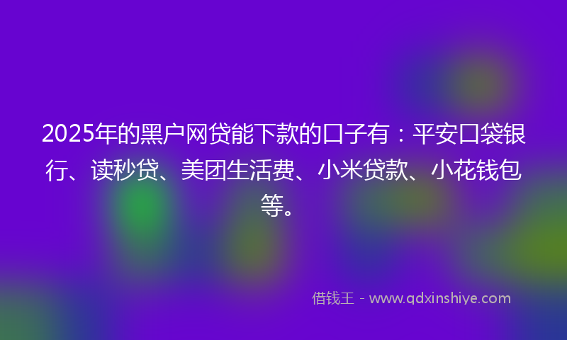 2025年的黑户网贷能下款的口子有：平安口袋银行、读秒贷、美团生活费、小米贷款、小花钱包等。