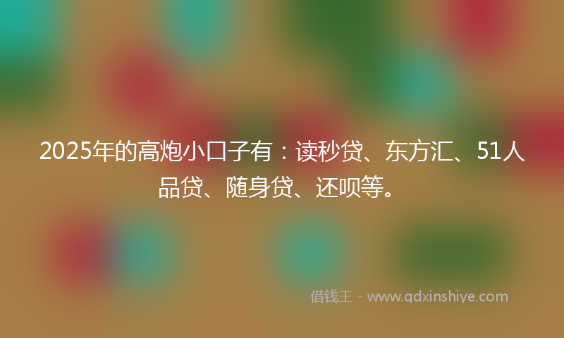 2025年的高炮小口子有：读秒贷、东方汇、51人品贷、随身贷、还呗等。