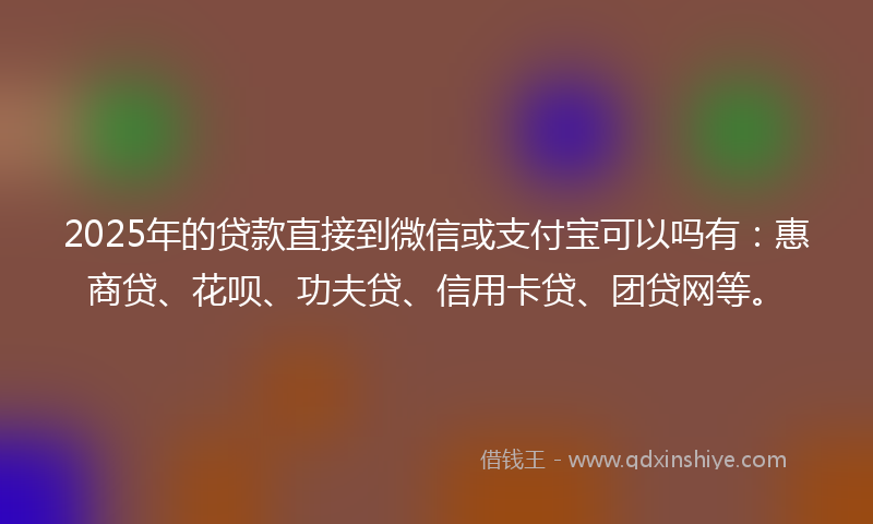 2025年的贷款直接到微信或支付宝可以吗有：惠商贷、花呗、功夫贷、信用卡贷、团贷网等。