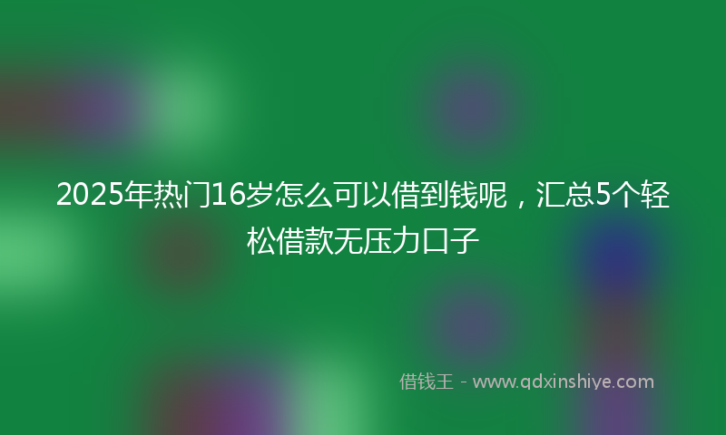 2025年热门16岁怎么可以借到钱呢，汇总5个轻松借款无压力口子