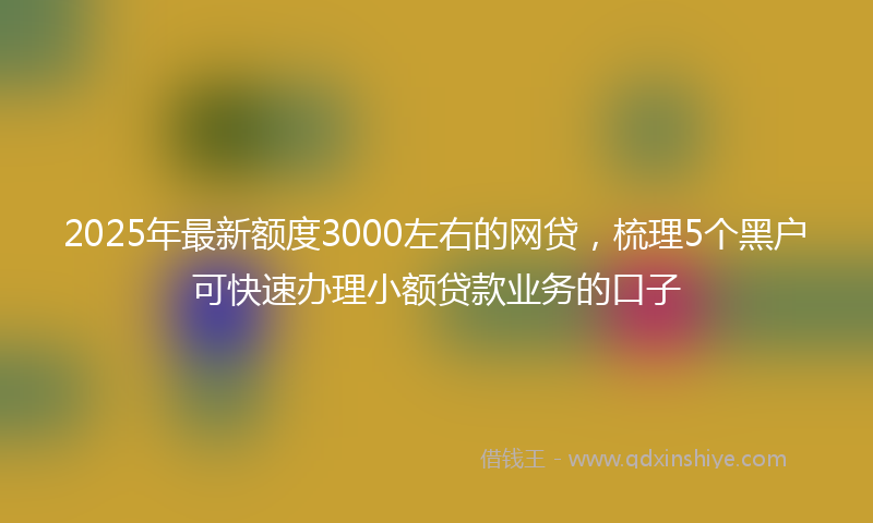 2025年最新额度3000左右的网贷，梳理5个黑户可快速办理小额贷款业务的口子