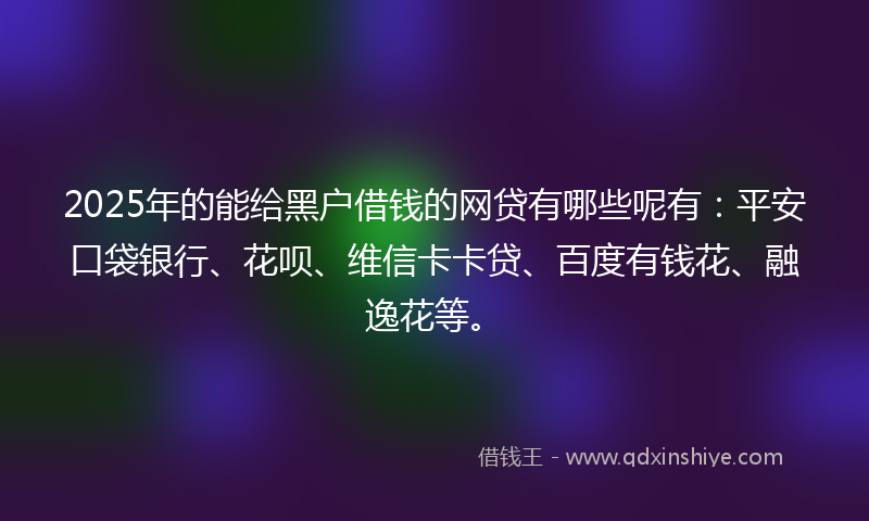 2025年的能给黑户借钱的网贷有哪些呢有：平安口袋银行、花呗、维信卡卡贷、百度有钱花、融逸花等。
