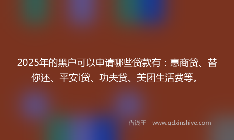 2025年的黑户可以申请哪些贷款有：惠商贷、替你还、平安i贷、功夫贷、美团生活费等。