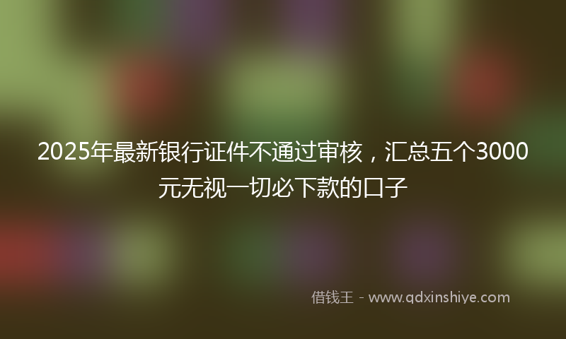 2025年最新银行证件不通过审核，汇总五个3000元无视一切必下款的口子