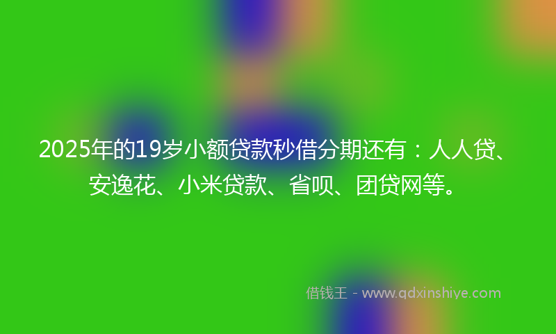 2025年的19岁小额贷款秒借分期还有：人人贷、安逸花、小米贷款、省呗、团贷网等。