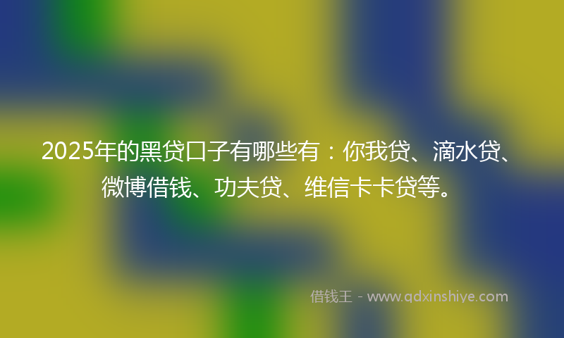 2025年的黑贷口子有哪些有：你我贷、滴水贷、微博借钱、功夫贷、维信卡卡贷等。