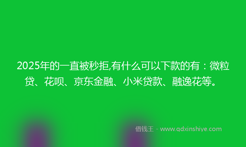 2025年的一直被秒拒,有什么可以下款的有：微粒贷、花呗、京东金融、小米贷款、融逸花等。